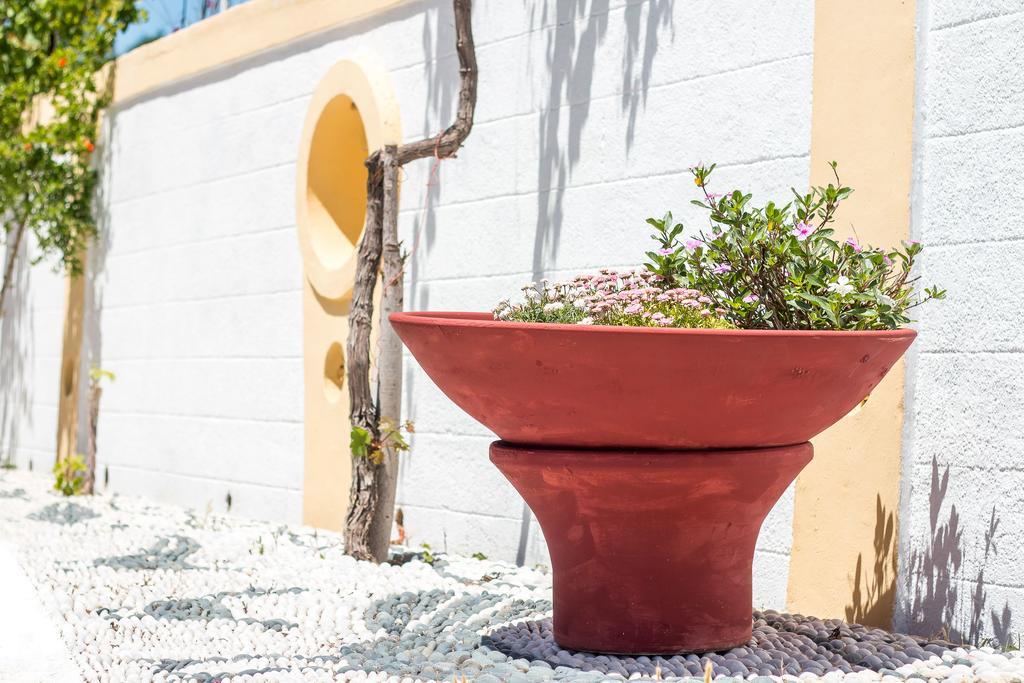 Mosaic Gardens Lägenhet Faliraki Exteriör bild